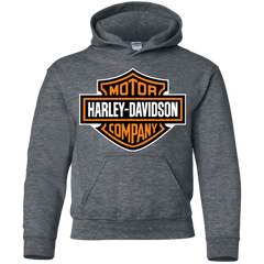 Harley Davidson Motorcycles Lover